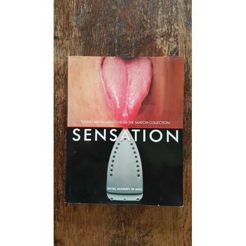 Sensation, Young British Artists From The Saatchi Collection