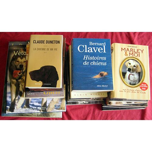 Les Chiens. Lot De 21 Titres Divers.
