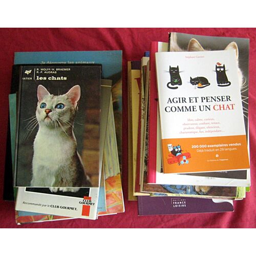 Les Chats. Lot Bradé De 17 Titres Divers.