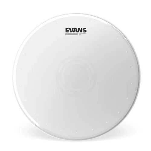Evans B14hwd Heavyweight Peau De Caisse Claire Sablée Dry (Frappe), 14 Pouces