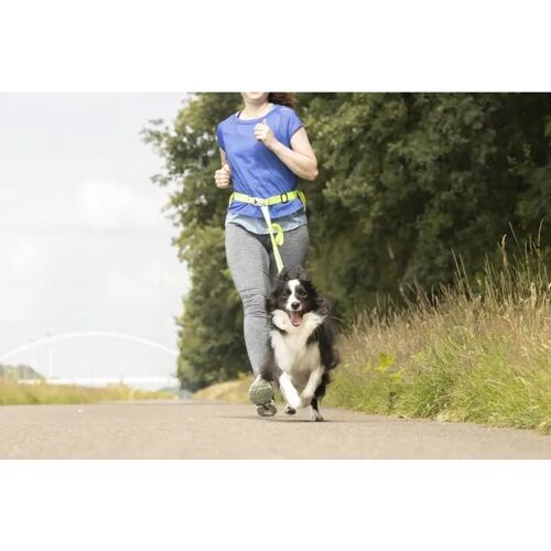 Laisse De Jogging Avec Ceinture De Hanches Led Pour Chien