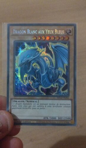 Dragon Blanc Aux Yeux Bleus Mp22-Fr266