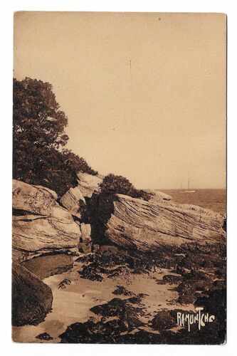 Carte Postale L'Ile De Noirmoutier , Le Bois De La Chaize