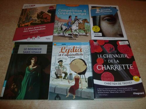 Lot 6 Livres Scolaires : Lydia Et L Aquarelliste + Le Chevalier De La Charrette + Le Seigneur Sans Visage + Competitiion A Granchamps + Du Domaine Des Murmures + La Plus Precieuse Des Marchandises
