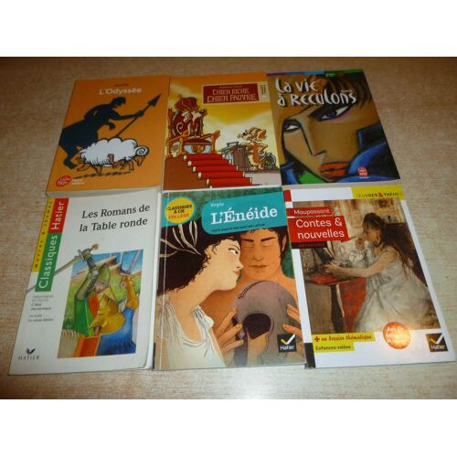 Lot 6 Livres Scolaires : Contes Et Nouvelles + Les Romans De La Table Ronde + L Eneide + L Odyssee + Chien Riche Chien Pauvre + La Vie A Reculons