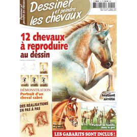 Dessiner Et Peindre Les Chevaux N°14