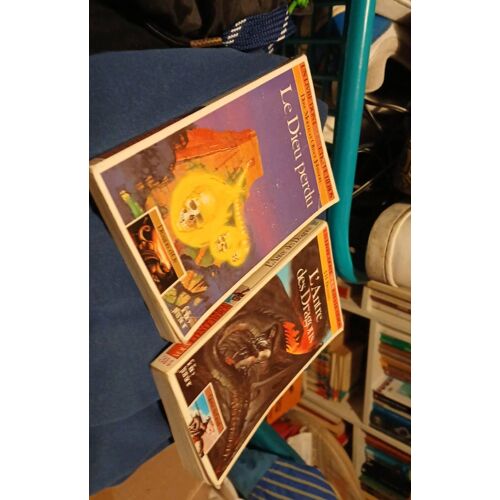 Un Livre Dont Vous Etes Le Héros Lot De 2 Folio Junior Le Dieu Perdu Et L'Antre Des Dragons