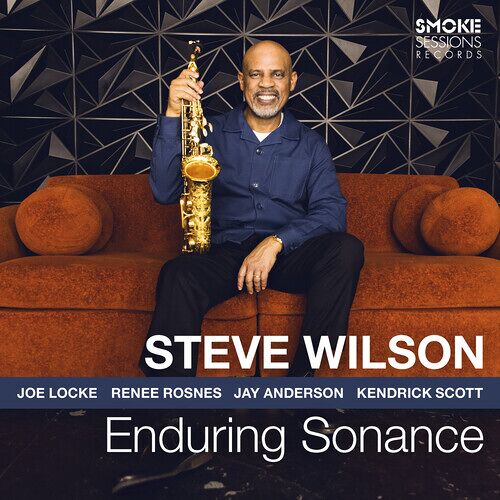 Steve Wilson - Enduring Sonance [Compact Discs]