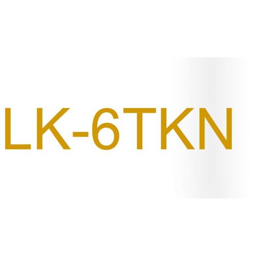 Epson LK-6TKN Or et Transparent