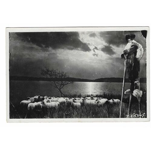 Carte Postale N° 60 , Au Pays Landais , Un Soir Au Bord Des Lacs