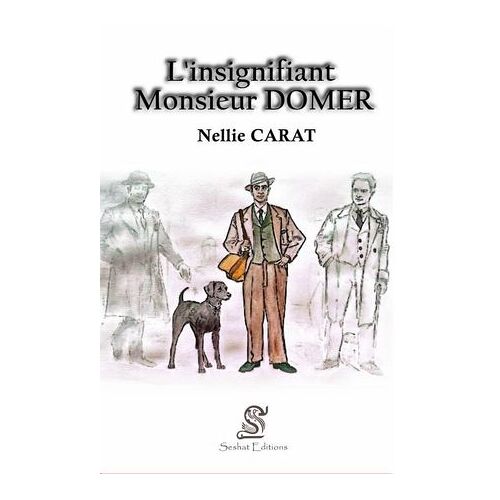 L'insignifiant Monsieur Domer