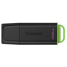 Kingston DataTraveler Exode - Clé USB - 256 Go - USB 3.2 Gen 1