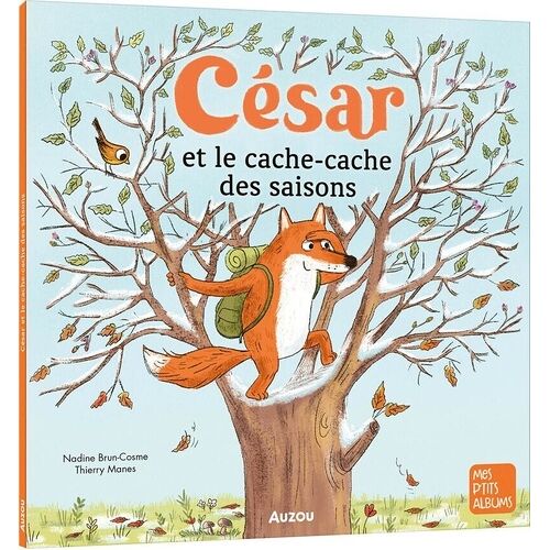César Et Le Cache-Cache Des Saisons