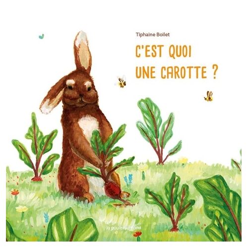 C'est Quoi Une Carotte ?