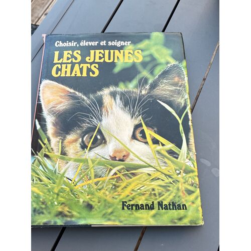 Choisir Élever Et Soigner Les Jeunes Chats