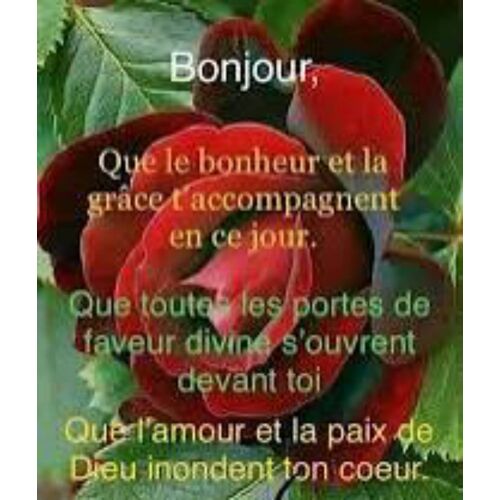 Je Voudrais Bien M Intégrer Sur Se Site Pour Faire Des Achats Bien Promotionnel