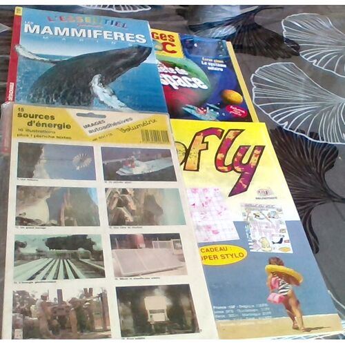 Lot De 4 Livres . L Essentiel Junior . Les Mammifères Marins . Image Doc N° 226 : A La Conquête De L'Espace - Images Autocollantes Volumetrix N°15 Sources D Energie . Gofly N ° 6 . Jeux D Ete Enfants