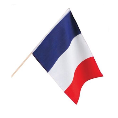 DRAPEAU FRANCE POLYESTER HAMPE 45X30CM TRICOLORE