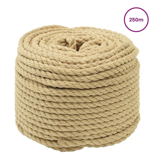 vidaXL Corde de bateau 250 m 0.8 Naturel PP