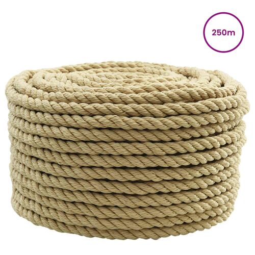 vidaXL Corde de bateau 250 m 1 Naturel PP