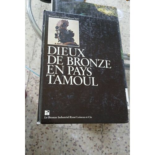 Fieux De Bronze En Pays Tamboul