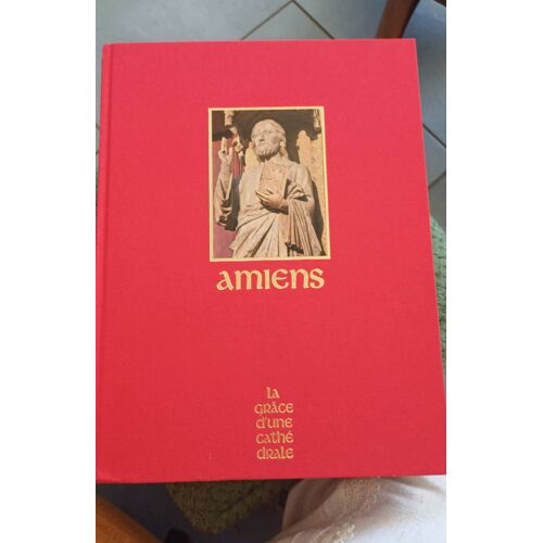 Amiens La Grâce D'Une Cathédrale