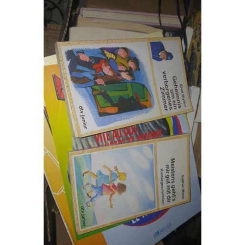 Dtv Junior Lot De 2 Livres Jeunesse En Allemand. Enid Blyton, Gudrun Mebs.