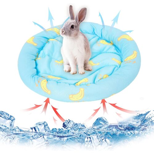 Petits Animaux Matelas Refroidissant Lit Lapin Hamster Cooling Pad Summer Ice Silk Sleeping Bed For Small Pet Puppy Guinea Pigs Hamster Rabbits Hamsters Cat (Blue)