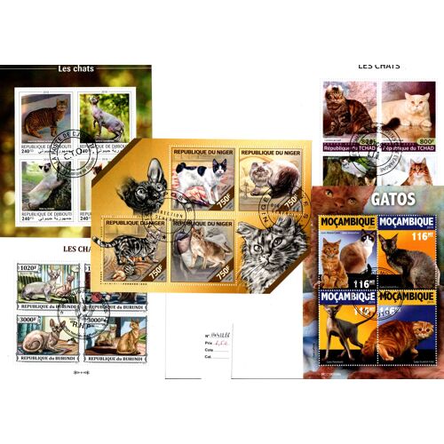 Lot Blocs Thematique " Chats "