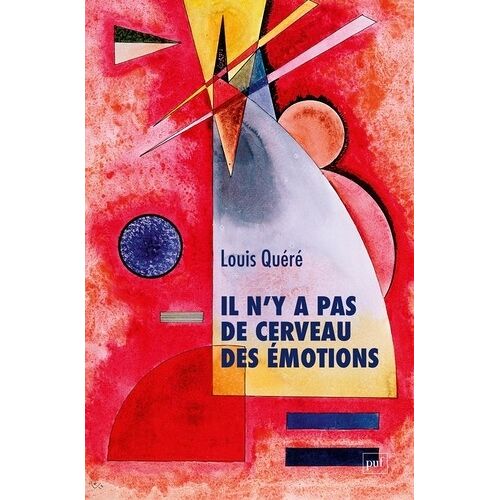 Il N'y A Pas De Cerveau Des Émotions
