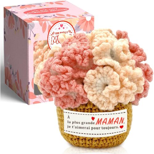 KALANKA-Cadeau pour Maman Cadeau d'anniversaire Exquis de la Part de sa Fille et de Son Fils, décoration de Bureau avec Fleur d'?illet au Crochet fête des mères