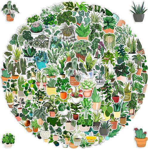 Kalanka-100 Autocollants De Plantes Vertes,Vert Plantes Décoration Autocollant,Scrapbooking Autocollant, Griffonnage De Plante Verte Pour Bouteilles D'eau, Journaux, Ordinateurs, Les Bagages, Les Alb