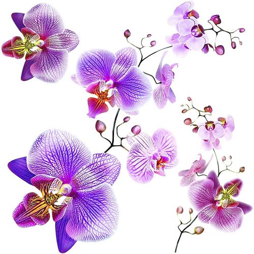 KALANKA-¿ Sticker Murale Adhésive ¿ Autocollant ¿ Orchidées ¿ Sticker Décoratif ¿ 30 x 30 cm - 1 Fragment ¿ SS 3859