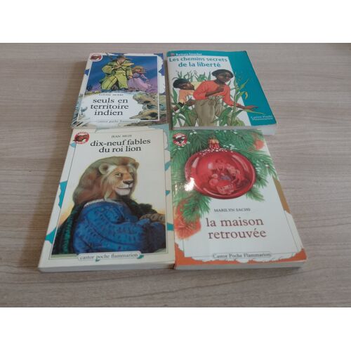 Lot De 4 Livres (Collection Castor Poche)