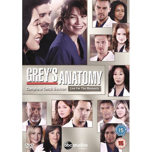 Grey's Anatomy: Complete Tenth Season (2014) Dvd - Ellen Pompeo (6 Disques)