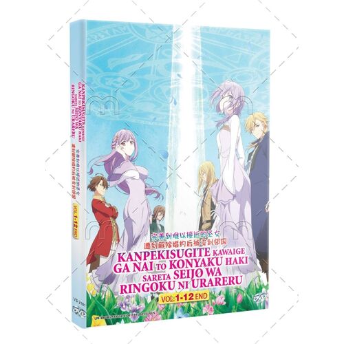The Too-Perfect Saint Kanpekisugite Kawaige - Anime Dvd