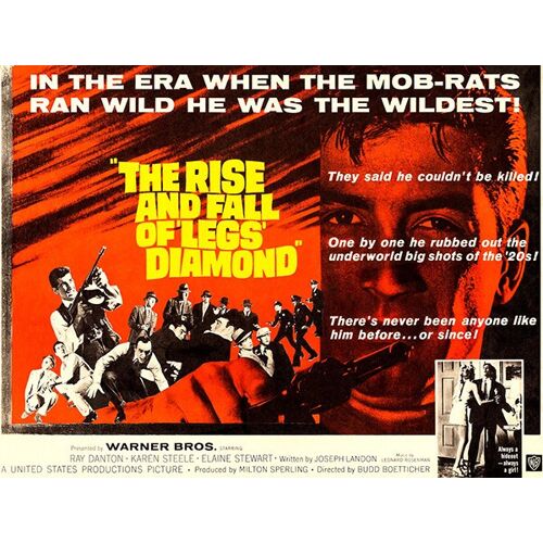 The Rise And Fall Of Legs Diamond Dvd