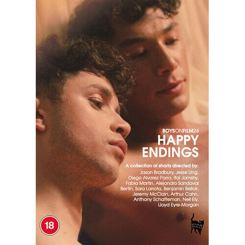 Dvd Boys On Film 24 - Happy Endings (2024)