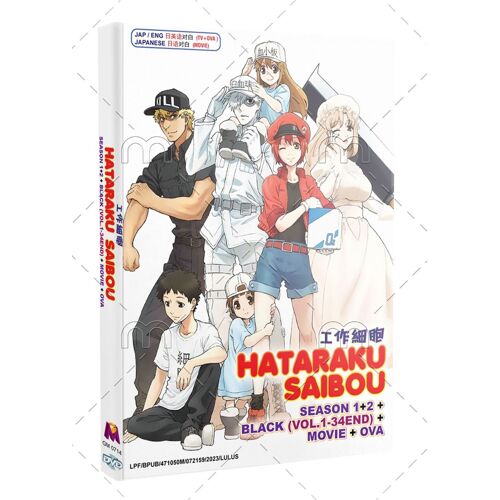 Hataraku Saibou Saisons 1 Et 2 + Black + Ova + Film - Anime Doublé Anglais - Dvd
