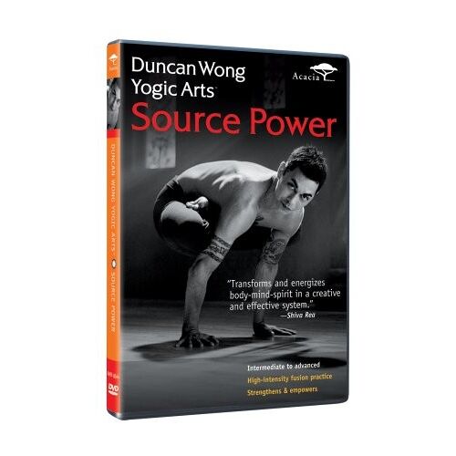 Dvd Duncan Wong Yogic Arts - Source Power