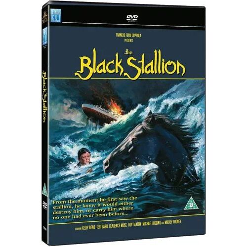 The Black Stallion (1979) - Dvd - Francis Ford Coppola