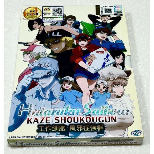 Cells At Work! Kaze Shokogun (Special)   All Region   Dvd