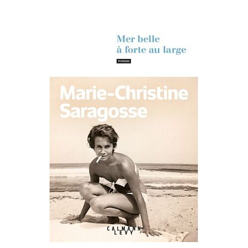 Mer Belle À Forte Au Large