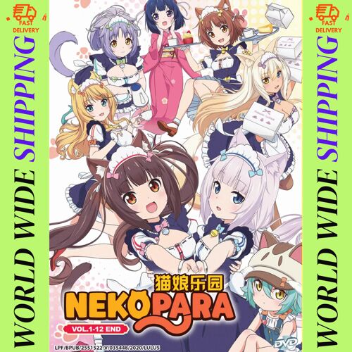 Nekopara Anime Complete Tv Series (Vol. 1-12 End) - Dvd