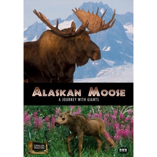 Alaskan Moose: A Journey Dvd - Documentaire Animalier