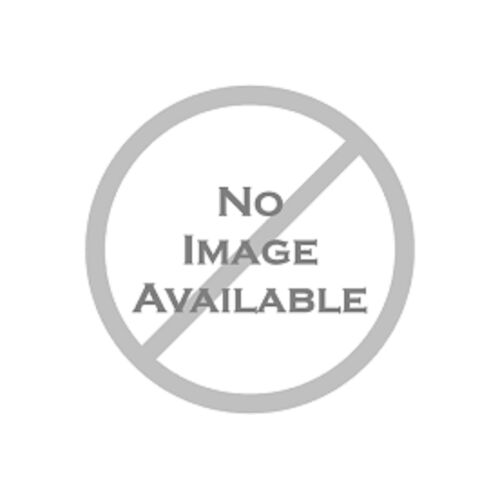 Ladies In Love Alice Day (1930) - Dvd