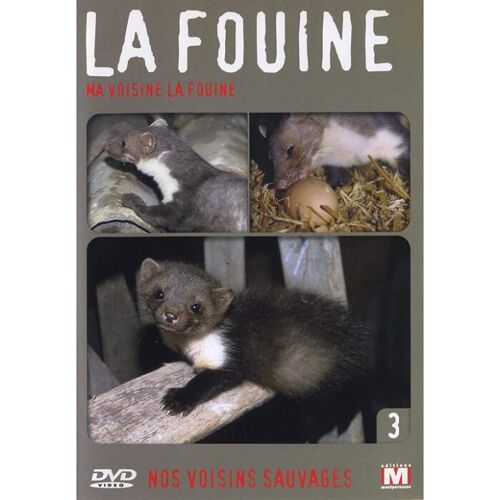 Sauvages Volume 3 Voisine Dvd - Documentaire Animalier