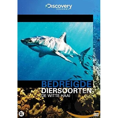 Witte Haai - Dvd