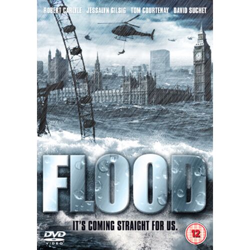 Dvd Flood (Inondation) - Robert Carlyle, Réal. Tony Mitchell - Catastrophe (2007)