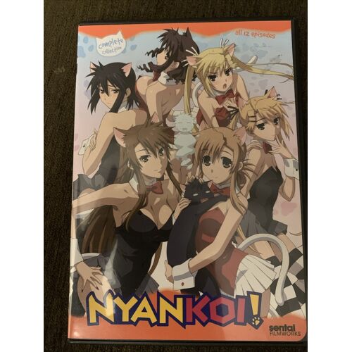 Dvd Nyan Koi: Complete Collection (2010)